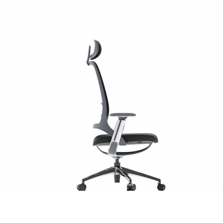 Ergonomischer TWHEELS Bürostuhl ProActive mit 3D-Armlehnen und Lendenstütze.