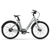TWHEELS E-Bike City Classic mit herausnehmbarem Akku und Carbon-Riemenantrieb.