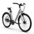 TWHEELS E-Bike City Classic in Schwarz mit tiefem Einstieg, LCD-Display und herausnehmbarem Akku.