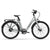 Graues E-Bike City Classic mit schwarzem Gepäckträger, Schutzblechen und Riemenantrieb.