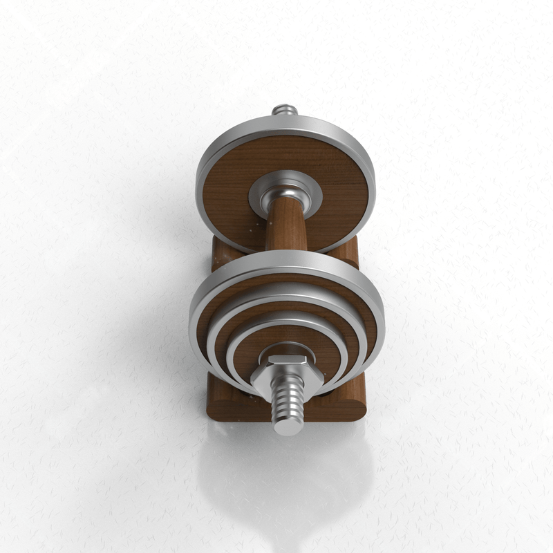 TWHEELS Kurzhantel-Set in Holzoptik mit polierten Griffen.