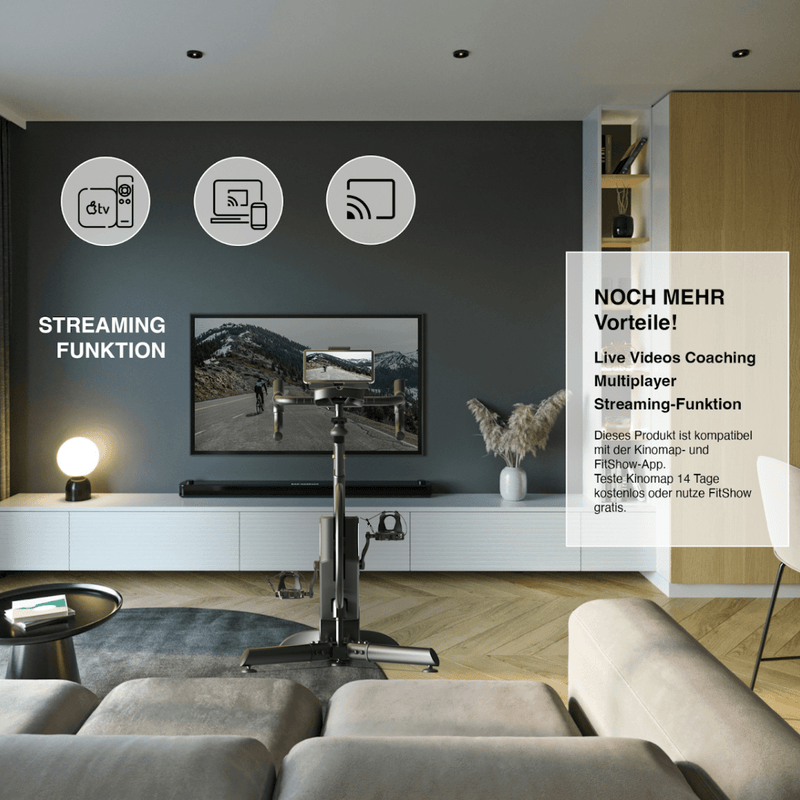 TWHEELS Indoor Bike aus hellem Eichenholz mit verstellbarem Sattel und Lenker.